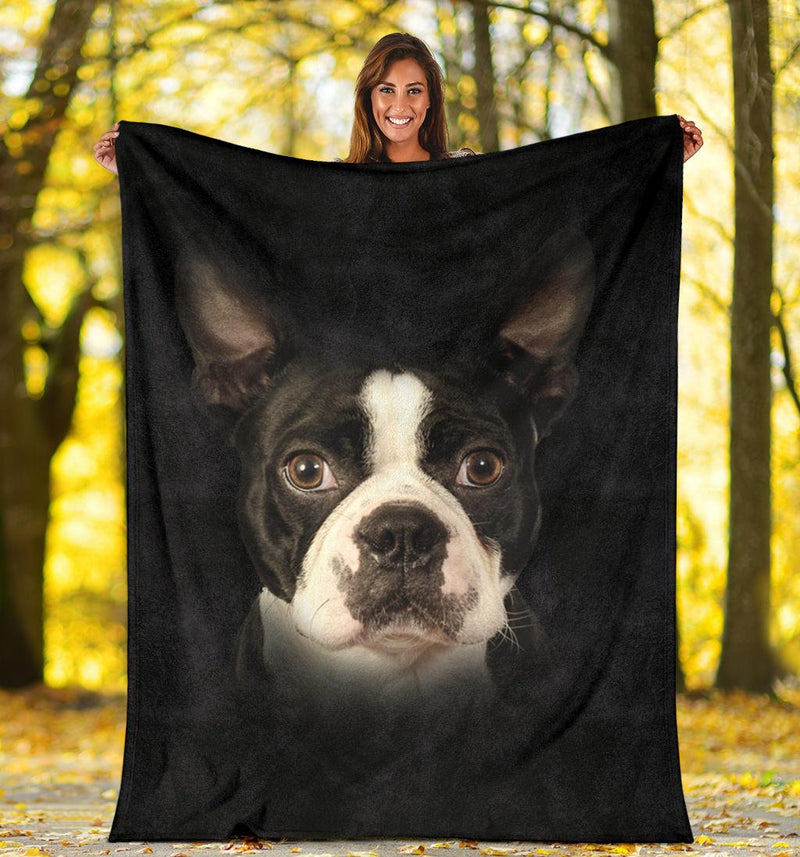 Boston Terrier Face Hair - Carbone&