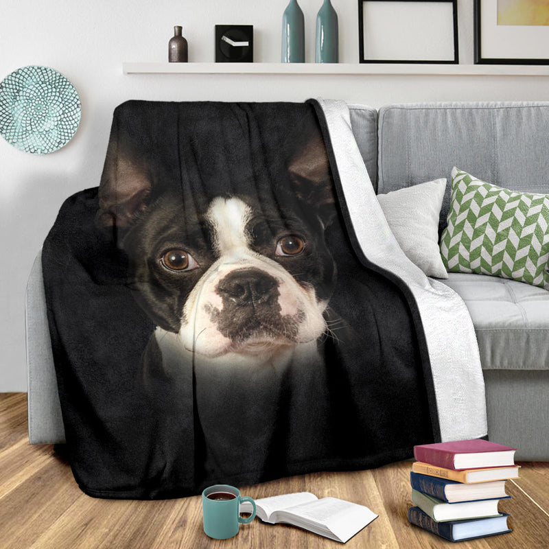 Boston Terrier Face Hair - Carbone&