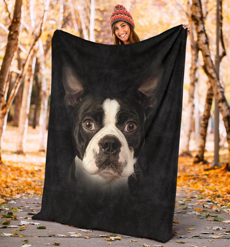 Boston Terrier Face Hair - Carbone&