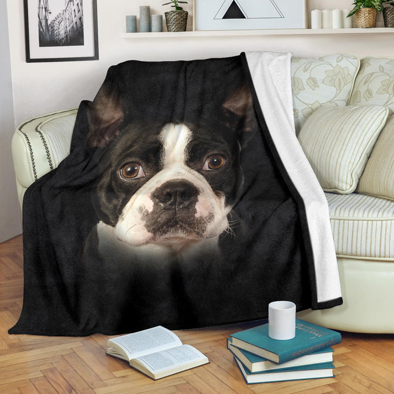 Boston Terrier Face Hair - Carbone&