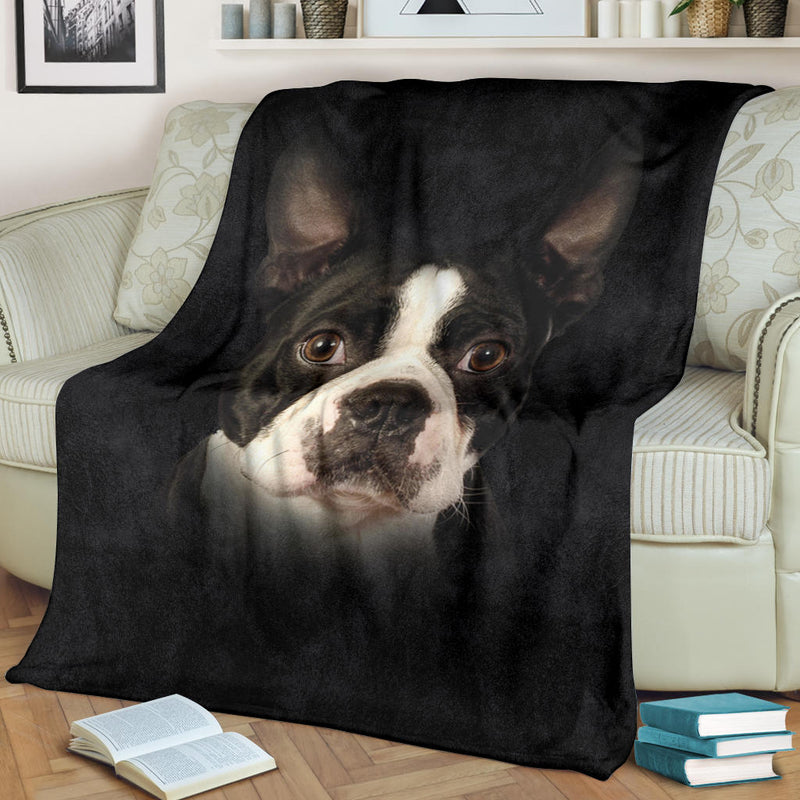 Boston Terrier Face Hair - Carbone&