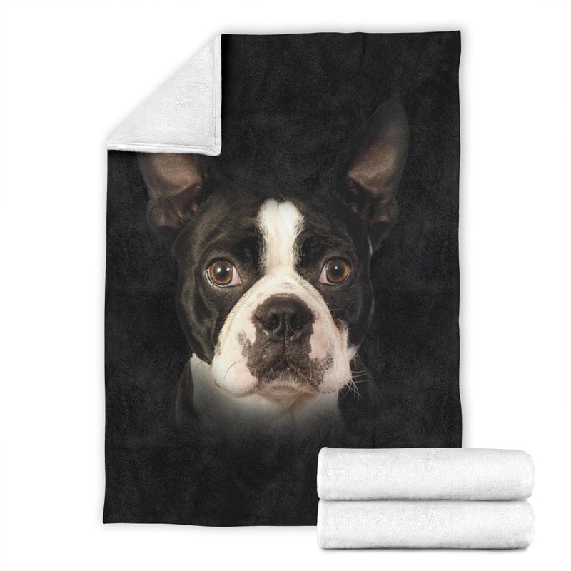 Boston Terrier Face Hair - Carbone&