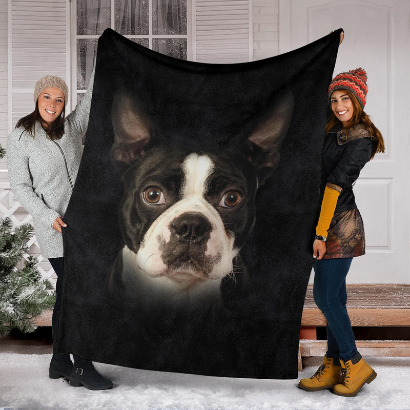 Boston Terrier Face Hair - Carbone&