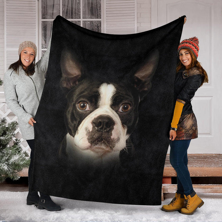 Boston Terrier Face Hair - Carbone's Marketplace