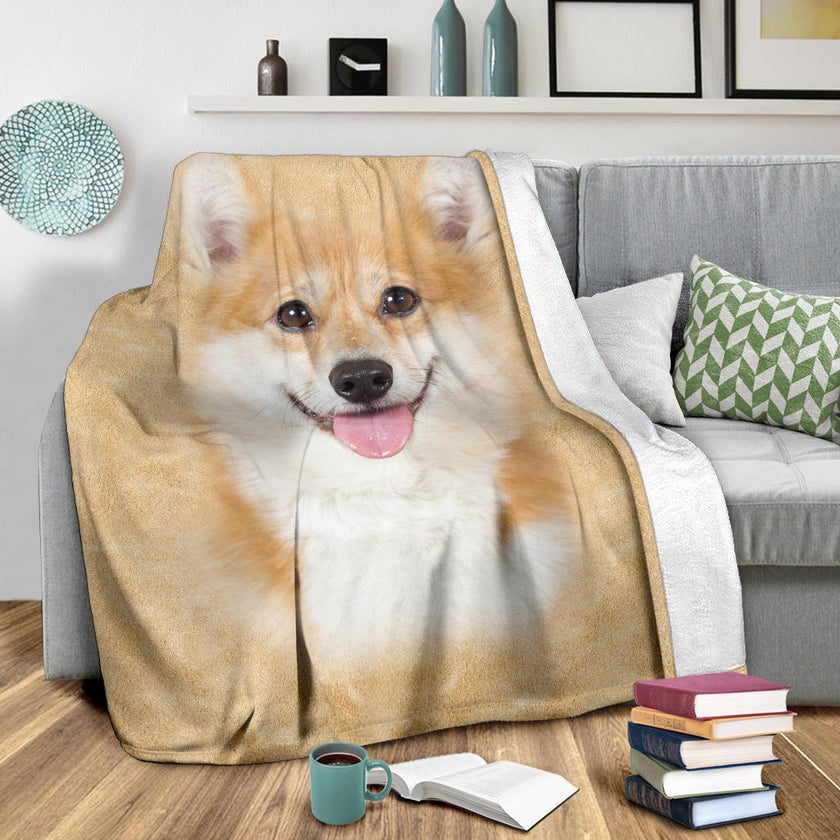 Corgi 1 Face Hair - Carbone's Marketplace