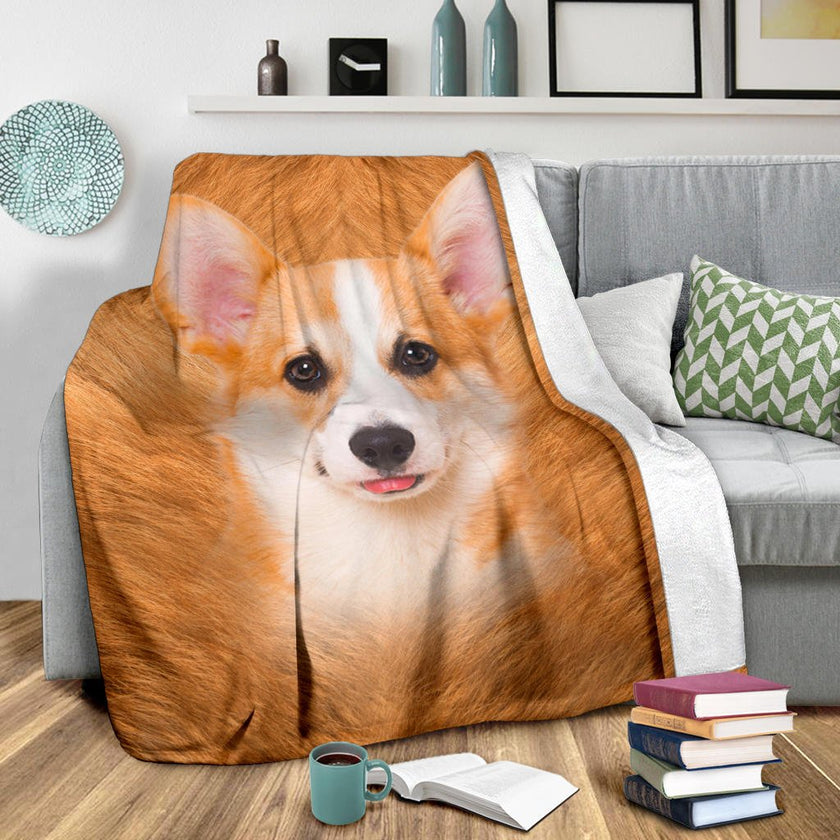 Corgi 2 Face Hair - Carbone's Marketplace