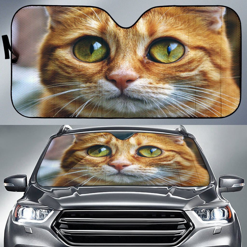 Cute kitten Auto Sun Shade - Carbone's Marketplace