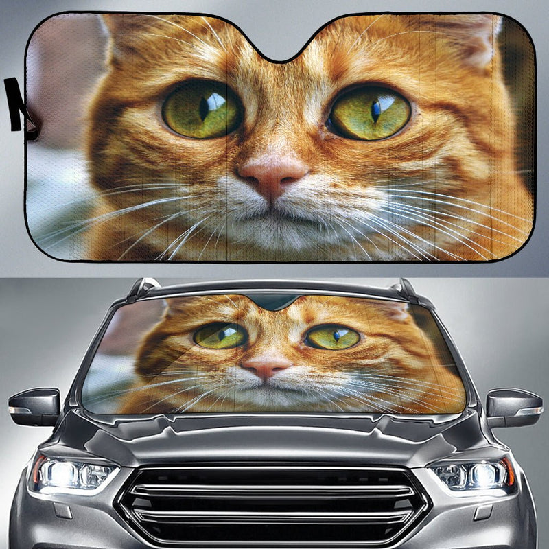 Cute kitten Auto Sun Shade - Carbone&