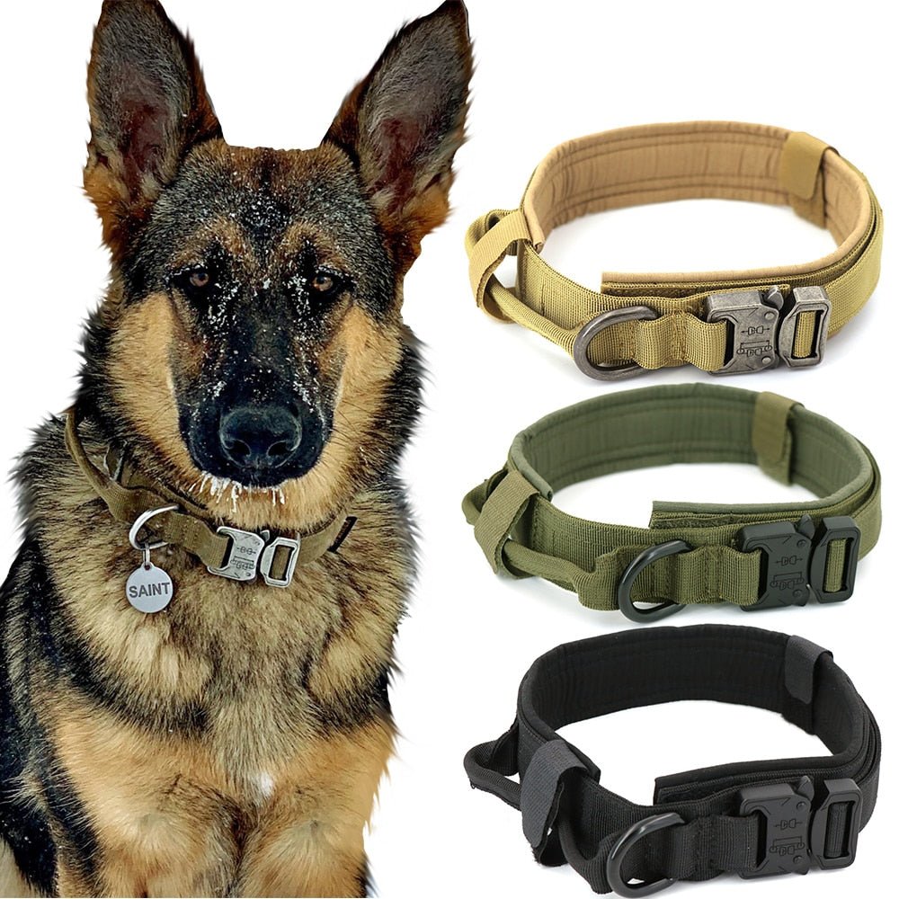 Dog Collar - Carbone's Marketplace