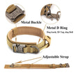 Dog Collar - Carbone's Marketplace