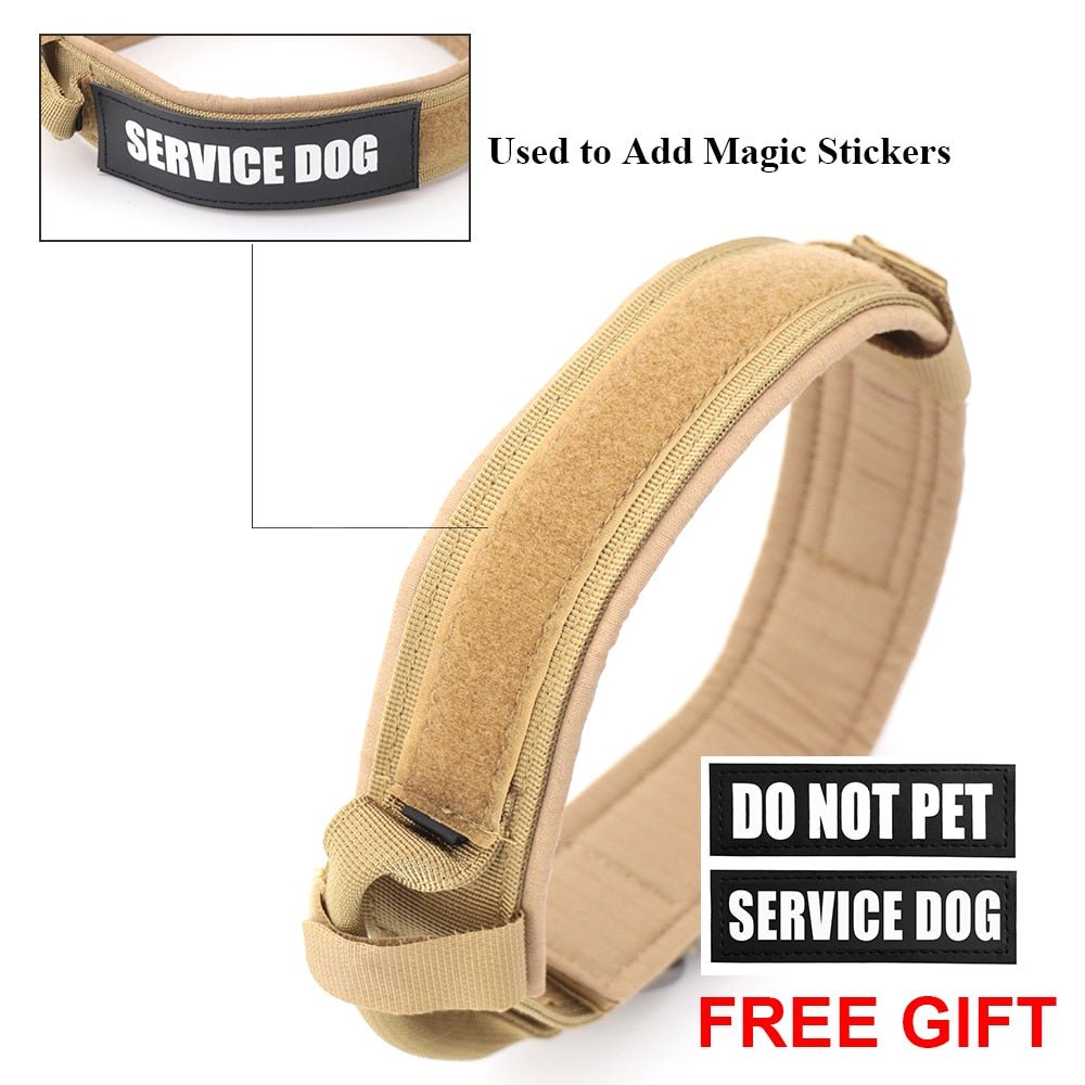 Dog Collar - Carbone's Marketplace