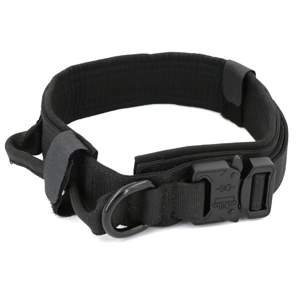 Dog Collar - Carbone's Marketplace