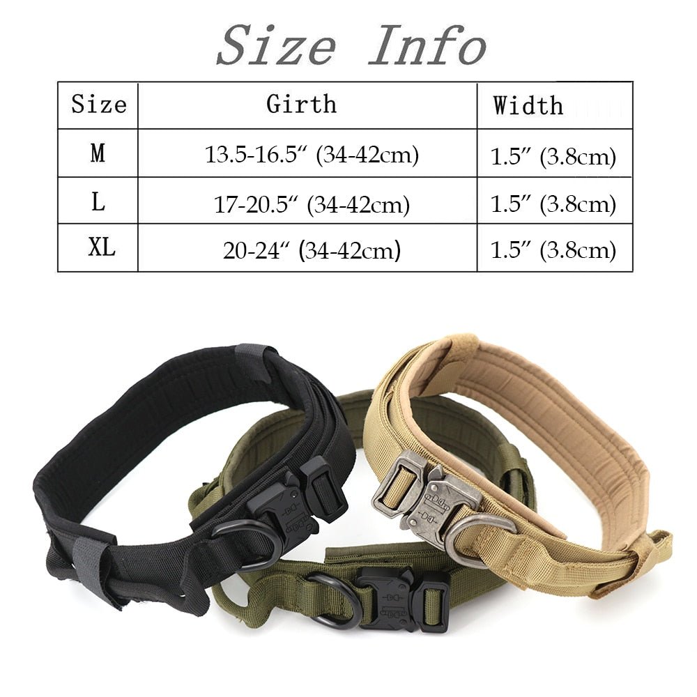 Dog Collar - Carbone's Marketplace