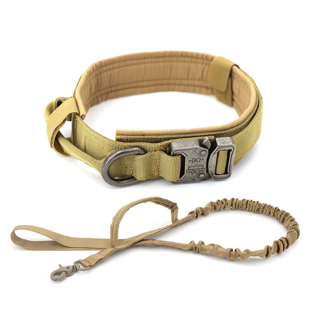 Dog Collar - Carbone's Marketplace