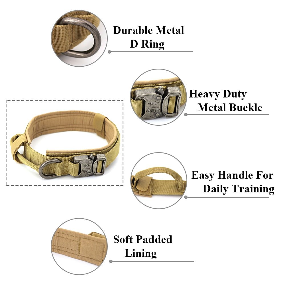 Dog Collar - Carbone's Marketplace