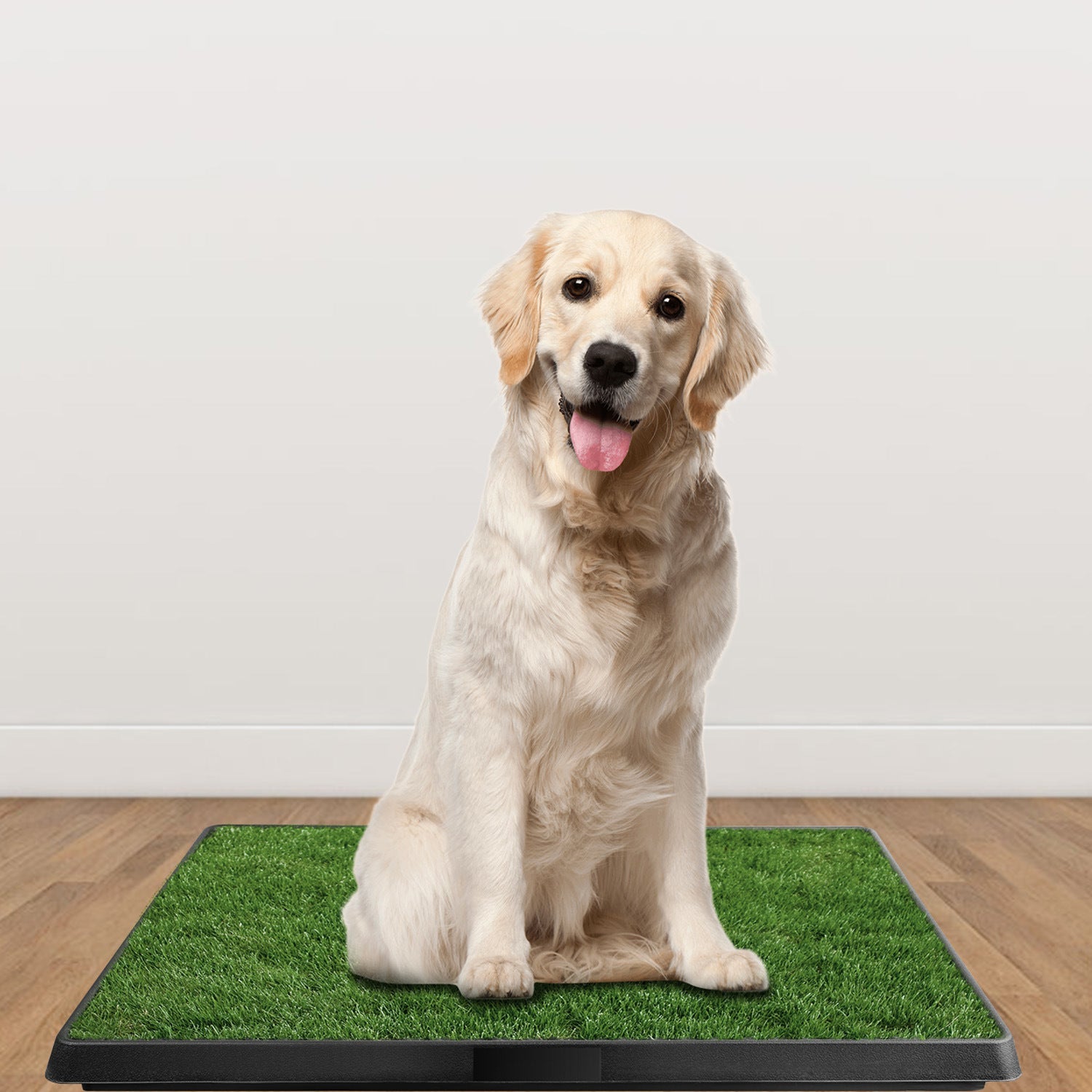 Dog Potty Training Artificial Grass Pad Pet Cat Toilet Trainer Mat Puppy Loo Tray Turf - Carbone's Marketplace