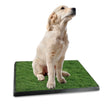 Dog Potty Training Artificial Grass Pad Pet Cat Toilet Trainer Mat Puppy Loo Tray Turf - Carbone's Marketplace