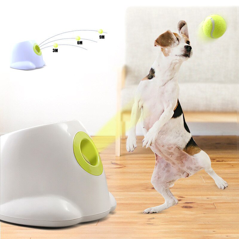Dog Tennis Launcher - Carbone's Marketplace