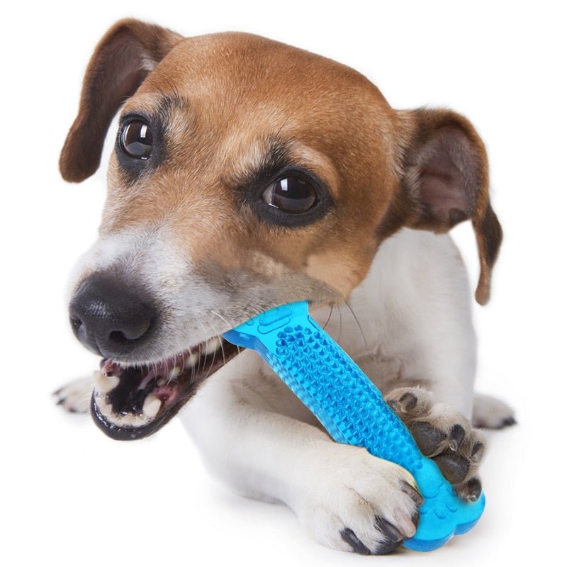 Dog Toys Pet Molar Tooth Cleaner Brushing Stick trainging Dog Chew Toy Dogs Toothbrush Doggy Puppy Dental Care Dog Pet Puppies - Carbone's Marketplace