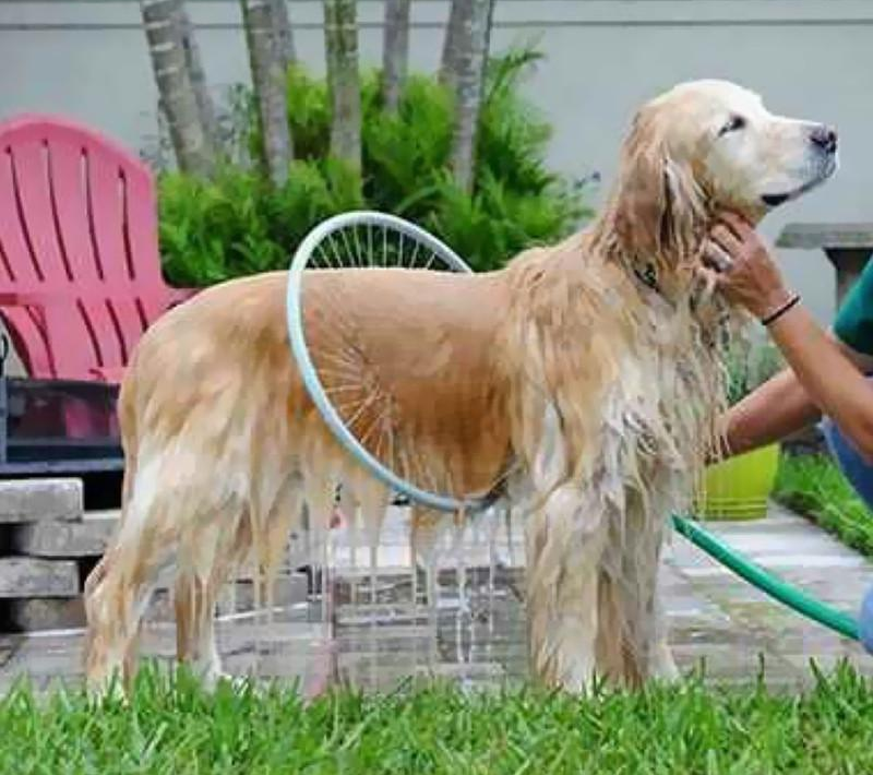 Woof Washer Dog Washer