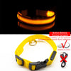 USB Charging Led Dog Collar - Boost Visibility and Safety - Never Lose Sight of Your Pet Again - Carbone's Marketplace