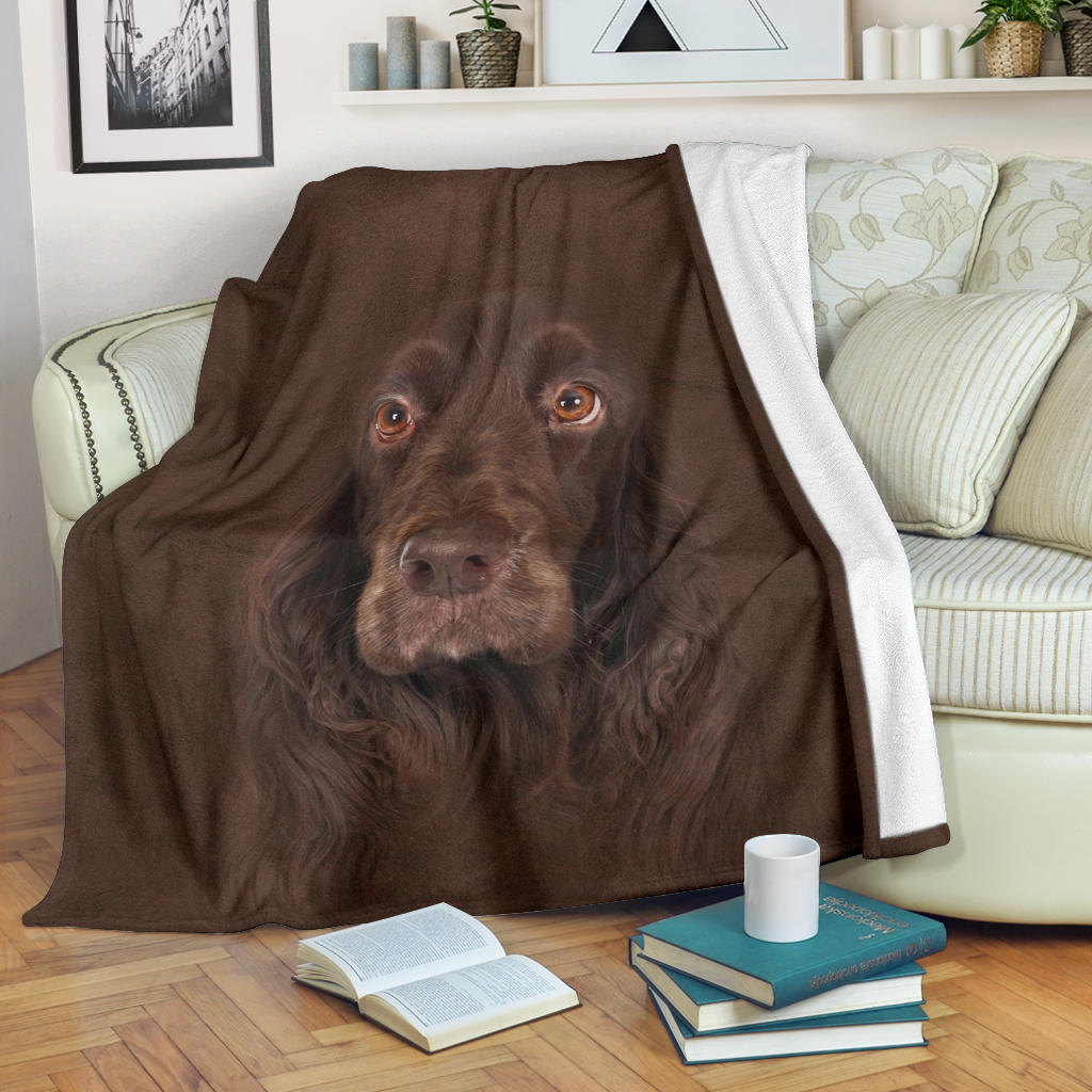 Field Spaniel Face Hair - Carbone's Marketplace