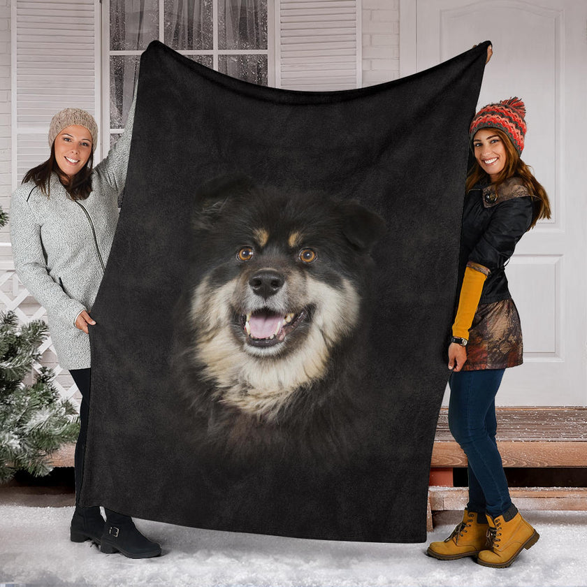 Finnish Lapphund Face Hair - Carbone's Marketplace