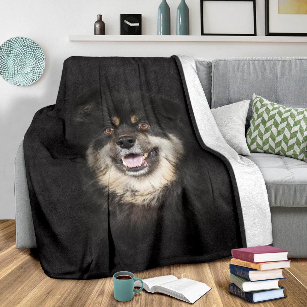 Finnish Lapphund Face Hair - Carbone's Marketplace