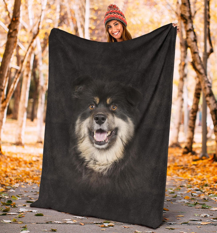 Finnish Lapphund Face Hair - Carbone's Marketplace