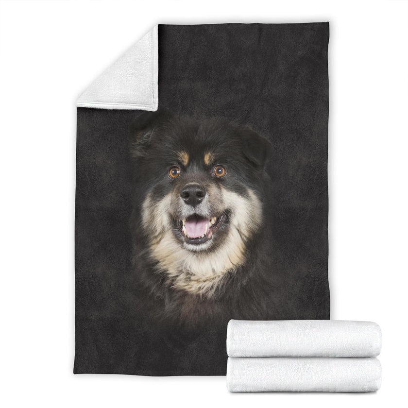 Finnish Lapphund Face Hair - Carbone's Marketplace