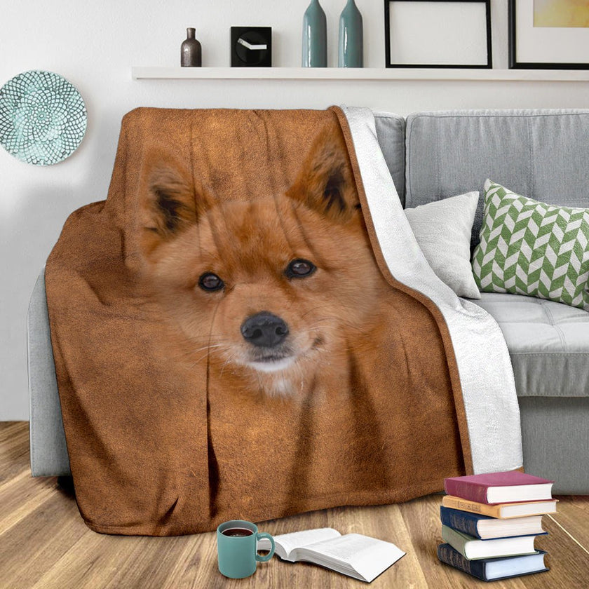 Finnish Spitz Face Hair - Carbone's Marketplace