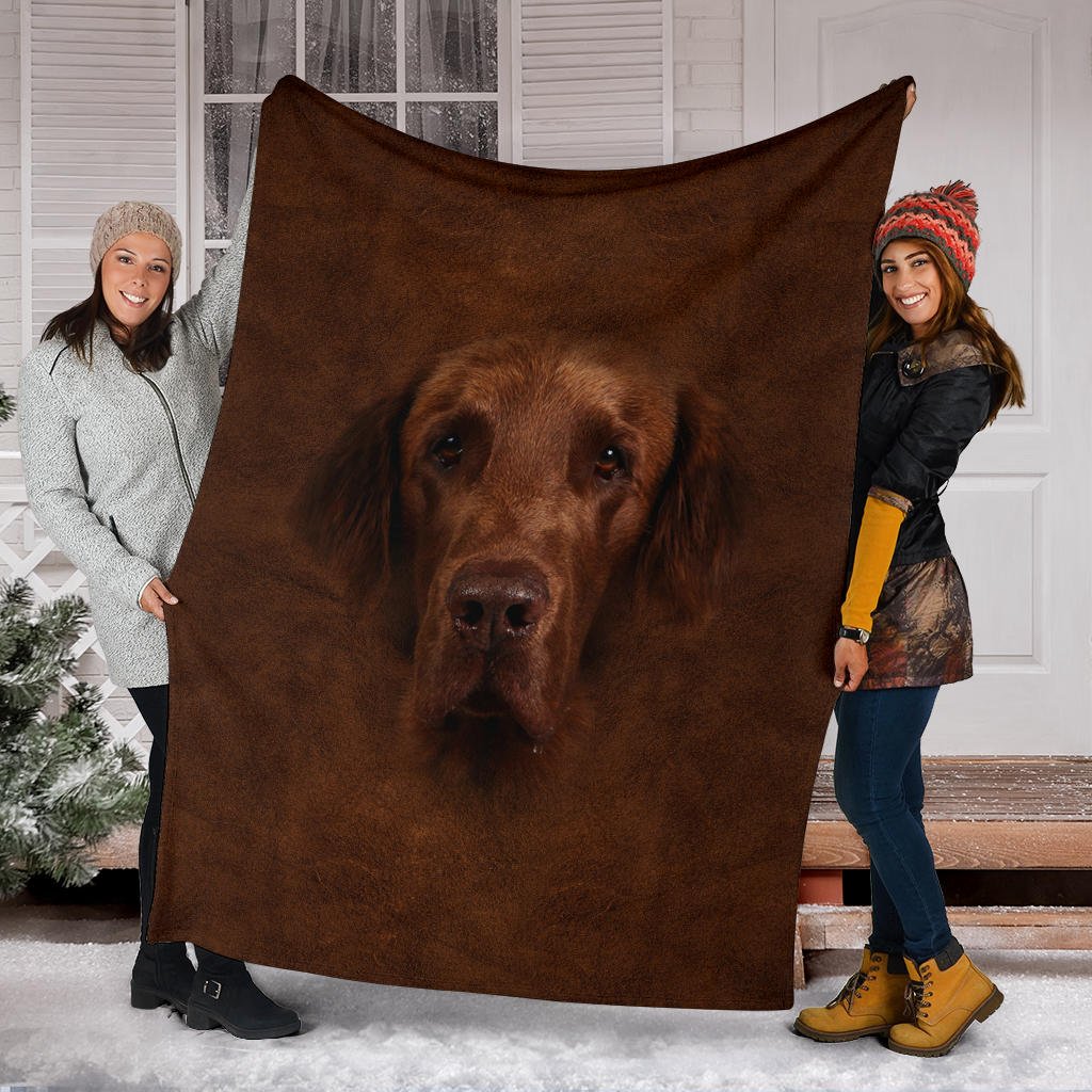 Flat Coated Retriever Face Hair - Carbone's Marketplace