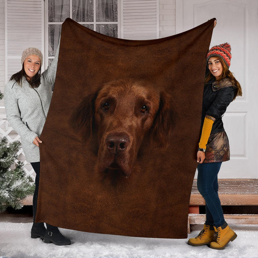 Flat Coated Retriever Face Hair - Carbone's Marketplace