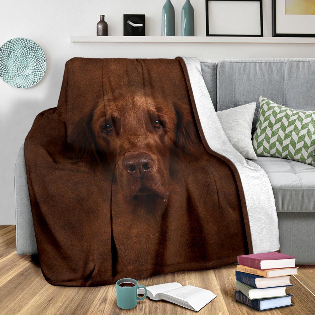Flat Coated Retriever Face Hair - Carbone's Marketplace
