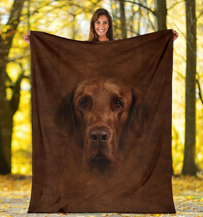 Flat Coated Retriever Face Hair - Carbone's Marketplace