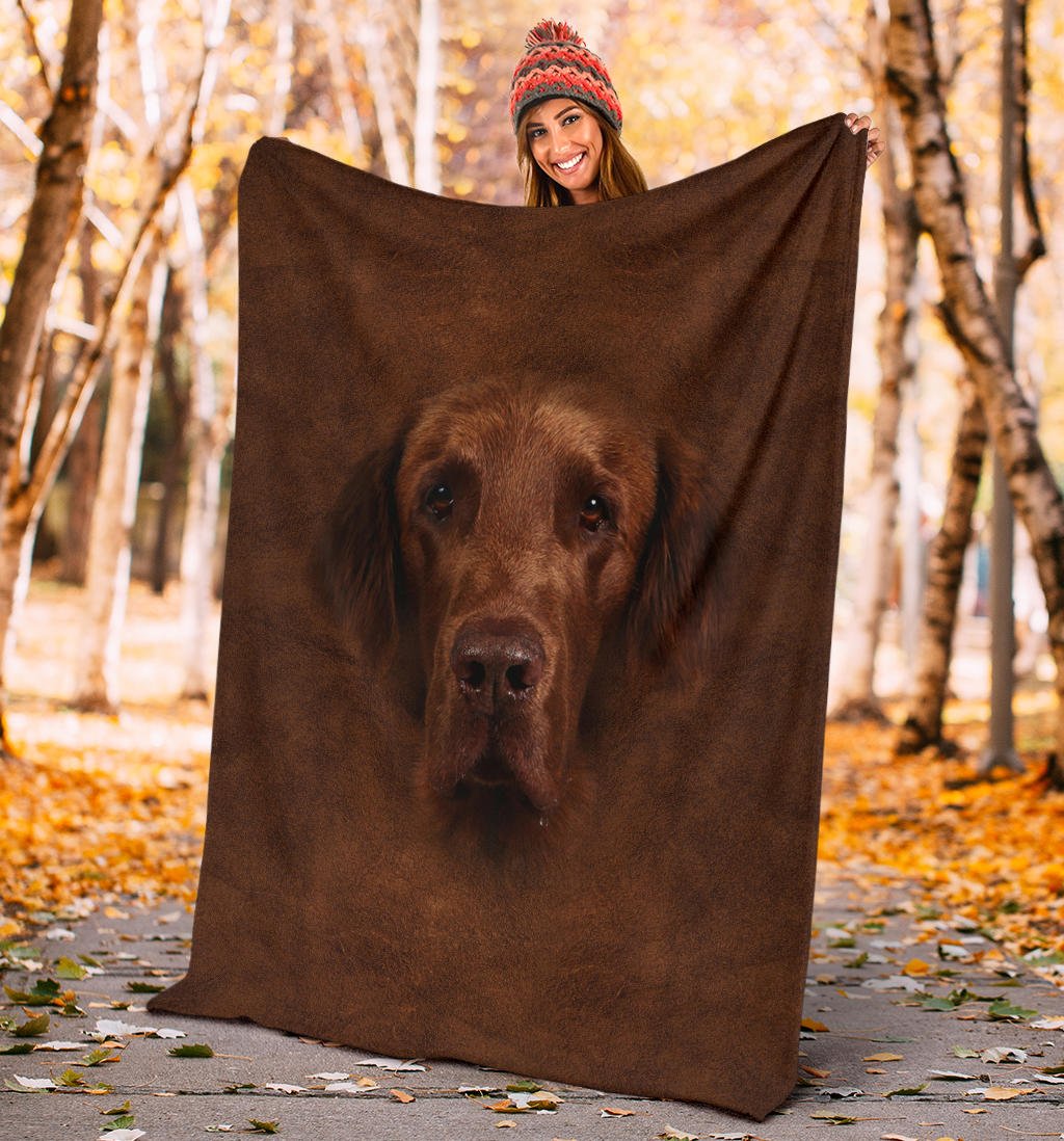 Flat Coated Retriever Face Hair - Carbone's Marketplace