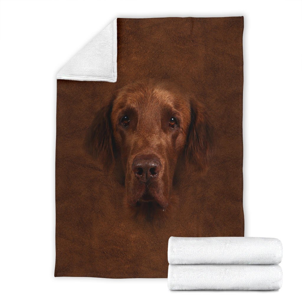 Flat Coated Retriever Face Hair - Carbone's Marketplace
