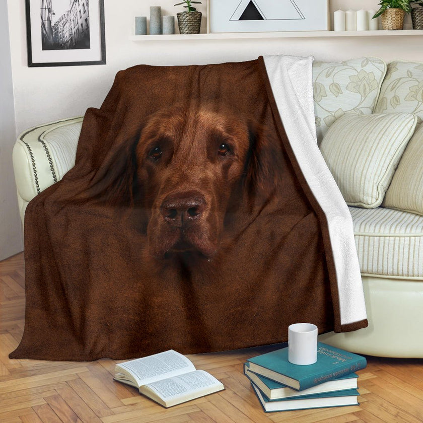 Flat Coated Retriever Face Hair - Carbone's Marketplace