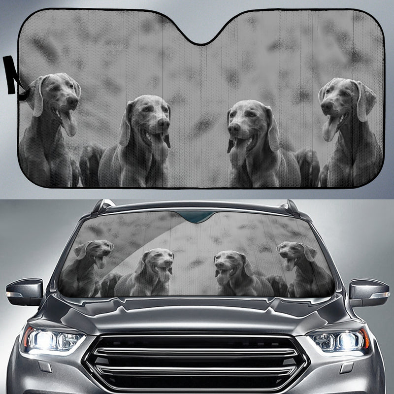 Weimaraner Auto Sun Shade