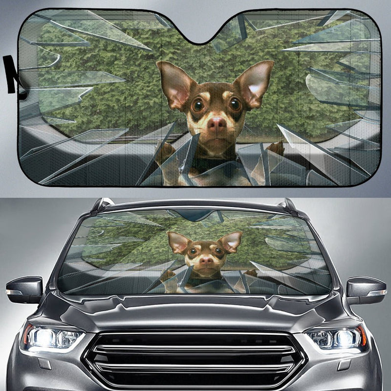 Fun chihuahua Auto Sun Shade - Carbone&