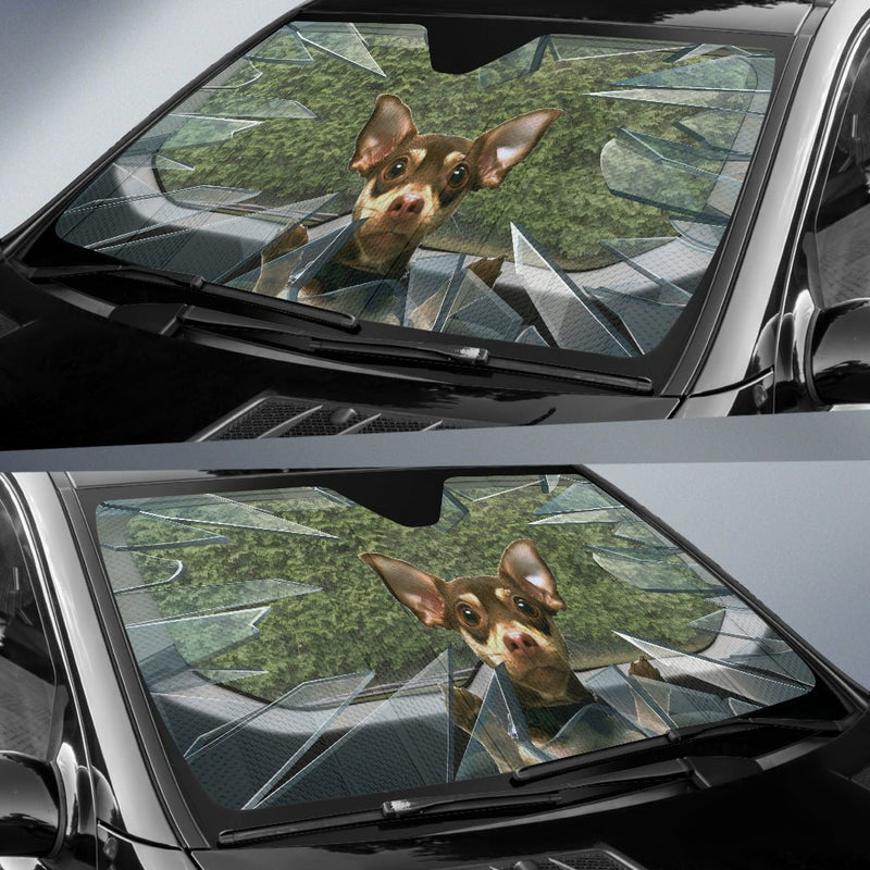 Fun chihuahua Auto Sun Shade - Carbone&