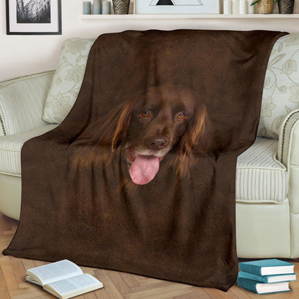 German Longhaired Pointer Face Hair - Carbone's Marketplace
