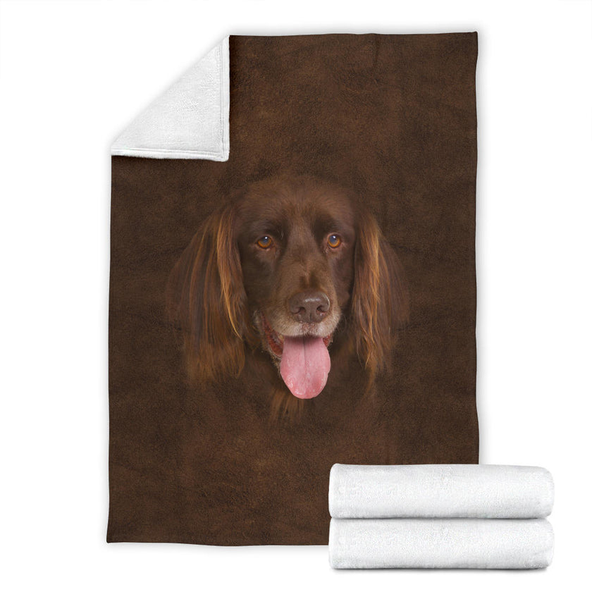 German Longhaired Pointer Face Hair - Carbone's Marketplace