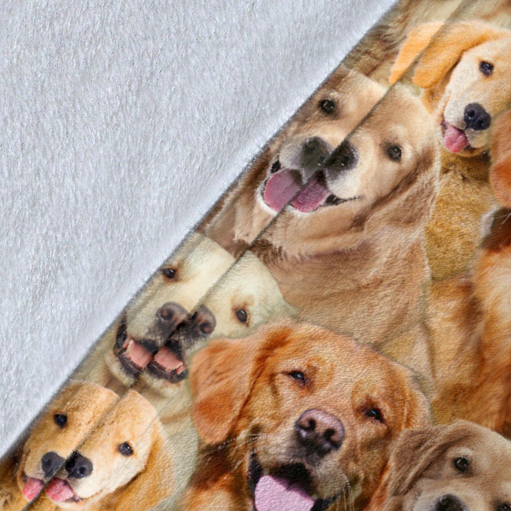 Golden Retriever Full Face - Carbone's Marketplace
