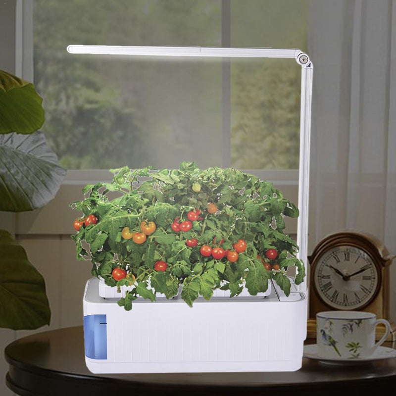 Indoor Hydroponic Herb Garden Kit - Carbone&