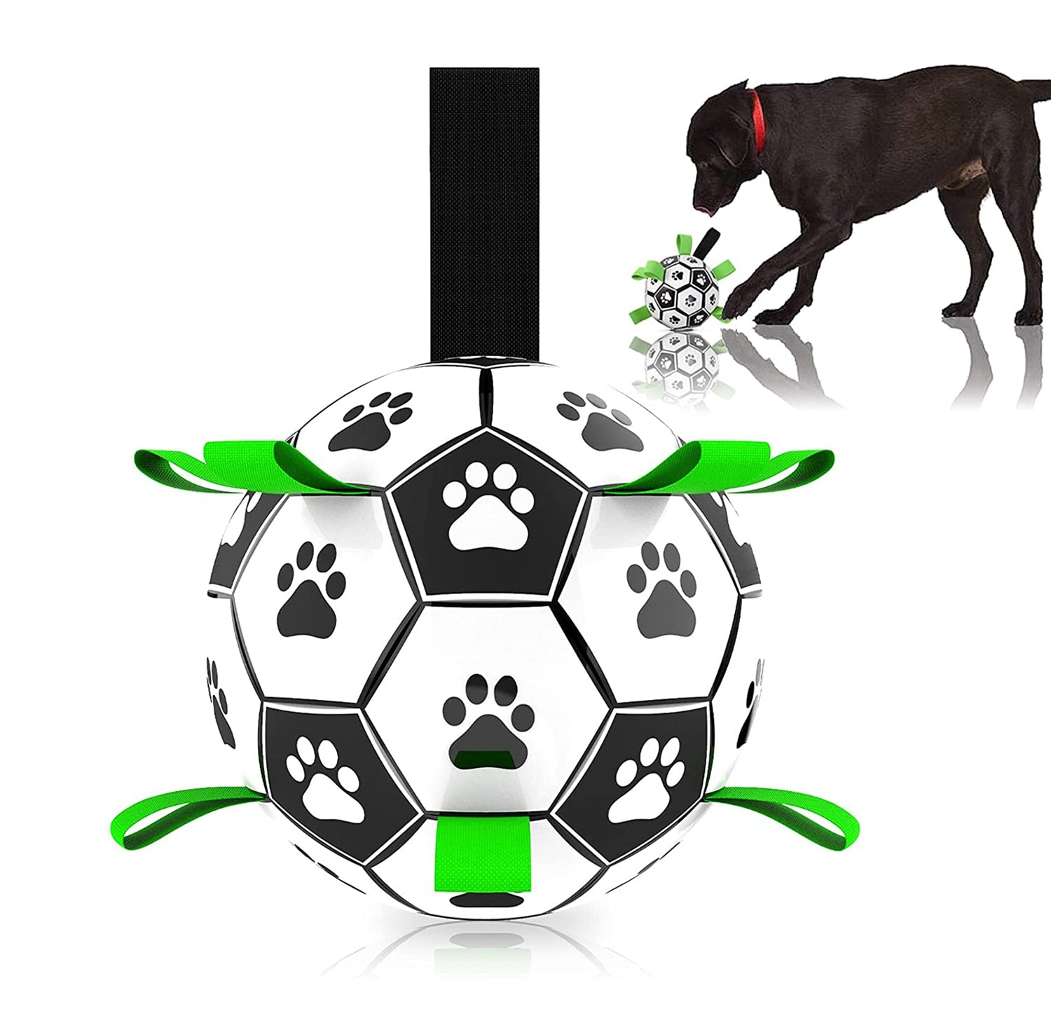 Interactive Pet Toy- Soccer Ball for Dogs - Carbone's Marketplace