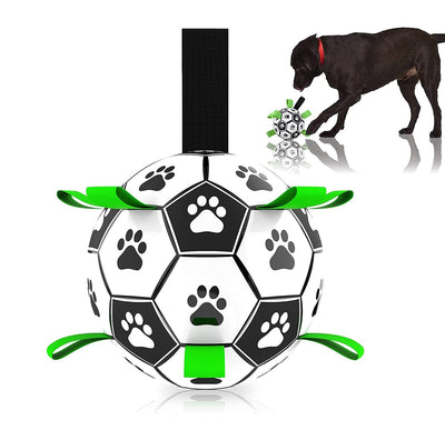 Interactive Pet Toy- Soccer Ball for Dogs - Carbone's Marketplace