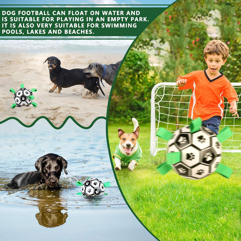 Interactive Pet Toy- Soccer Ball for Dogs - Carbone&