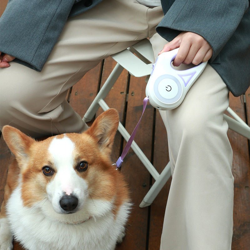 LED Lights Dog Leash - Carbone's Marketplace