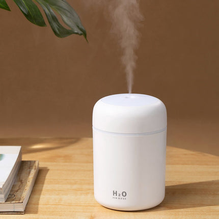 Mini LED Humidifier - Carbone's Marketplace